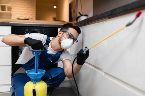 Best Pest Control Near Me in Stroud, OK
