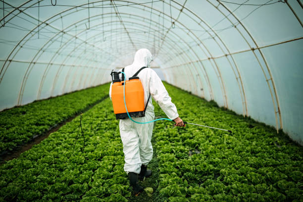 Best Local Pest Control Services  in Stroud, OK