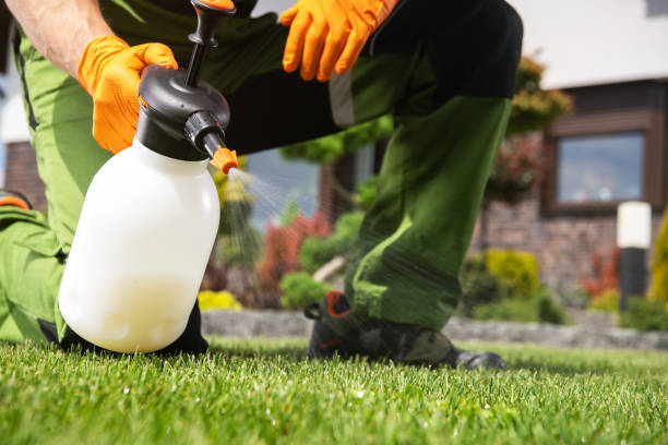 Best Pest Control for Restaurants  in Stroud, OK