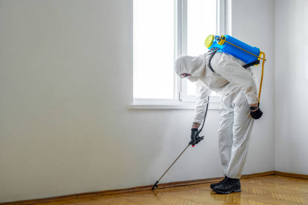 Trusted Stroud, OK Pest Control Experts