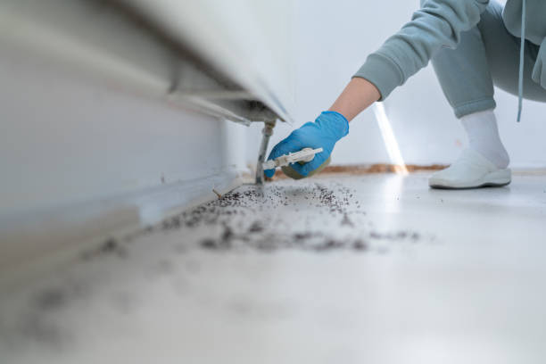 Best Emergency Pest Control  in Stroud, OK