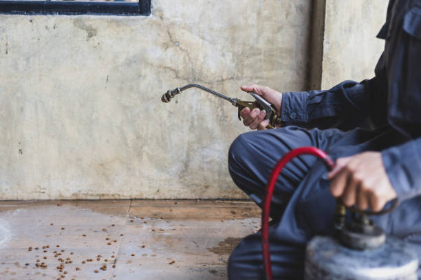 Best Pest Prevention Services  in Stroud, OK