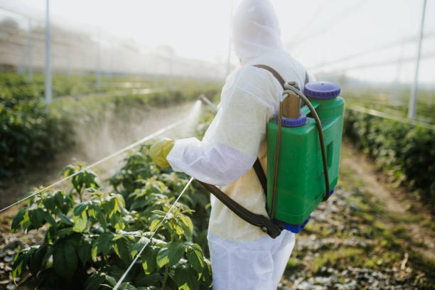 Best Pest Inspection Near Me  in Stroud, OK